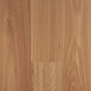 Envirolux Blackbutt