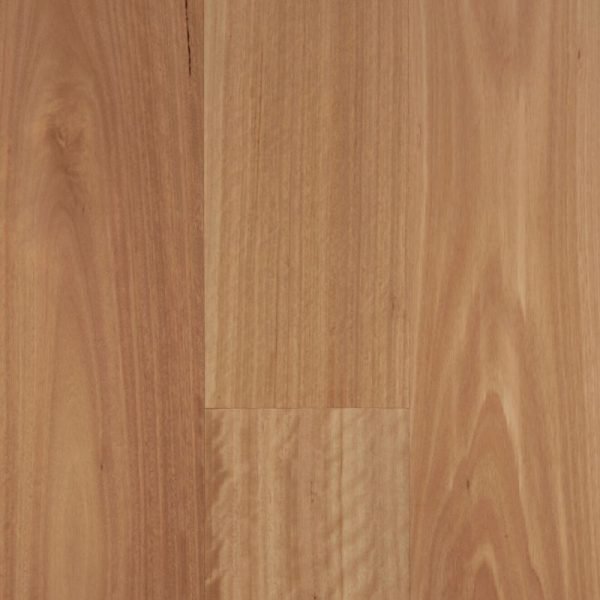 Envirolux Blackbutt