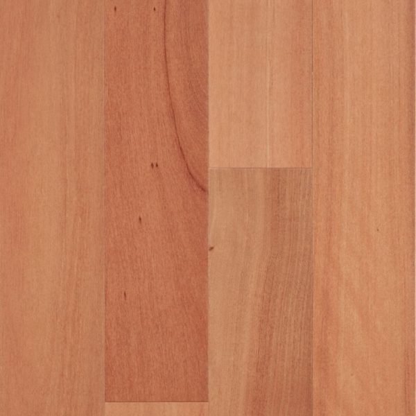 Envirolux Brushbox