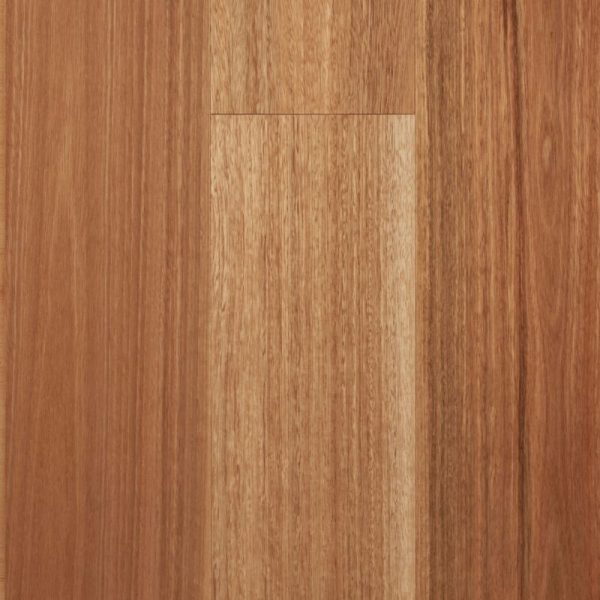Envirolux Spotted Gum