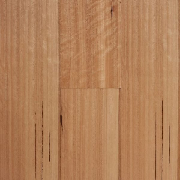 Stockmans Ridge Blackbutt