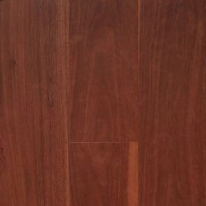 Stockmans Ridge Ironbark