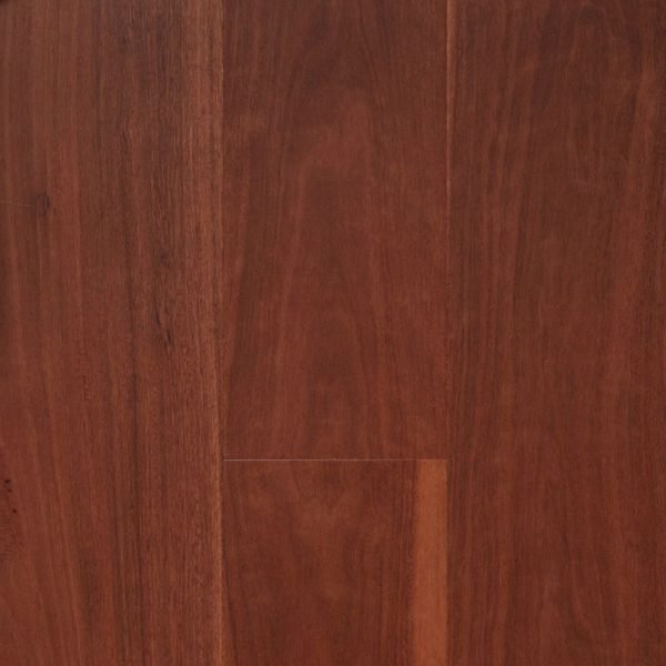 Stockmans Ridge Ironbark
