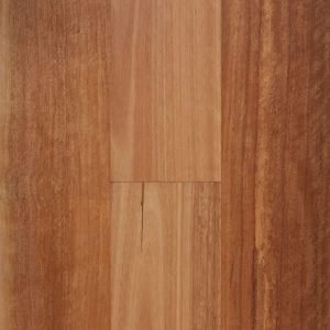 Stockmans Ridge Spotted Gum