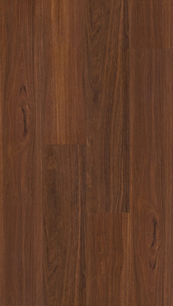 Brumby Range Lux Hybrid- 506 Ironbark