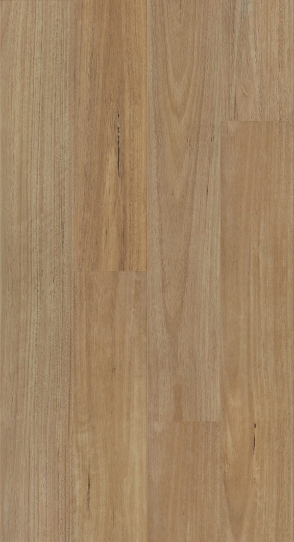 Brumby Range Lux Hybrid -507 Blackbutt
