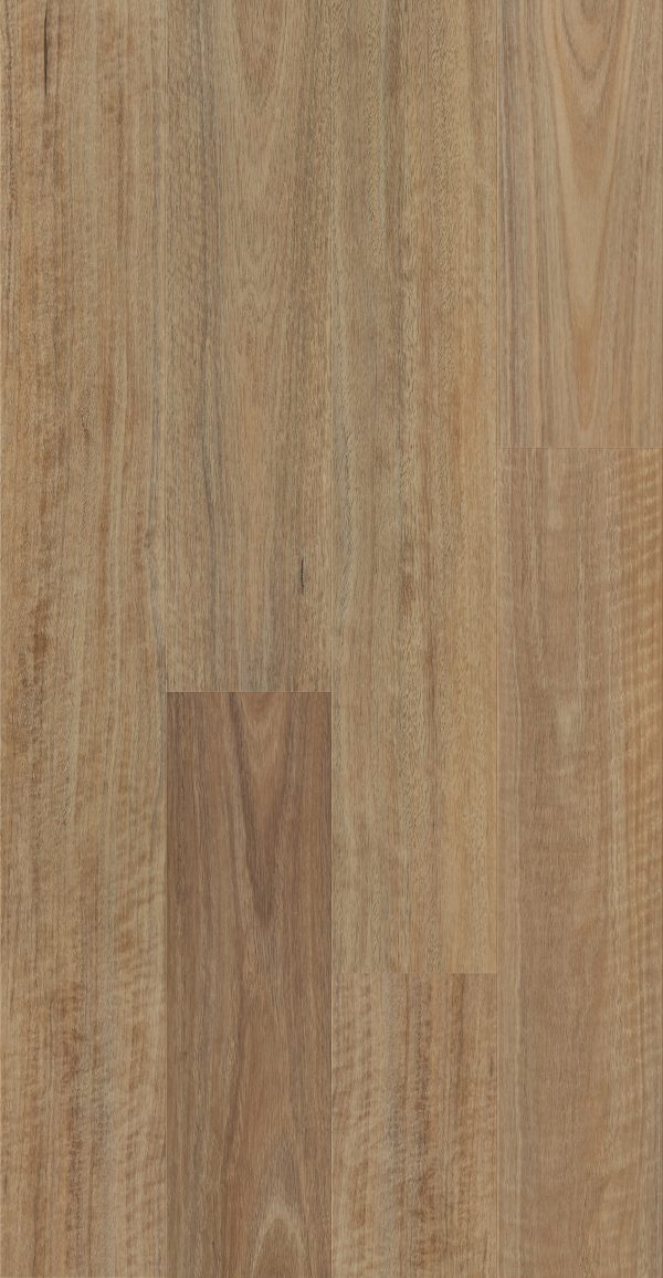 Brumby Range Lux Hybrid - 508 NSW Spotted Gum