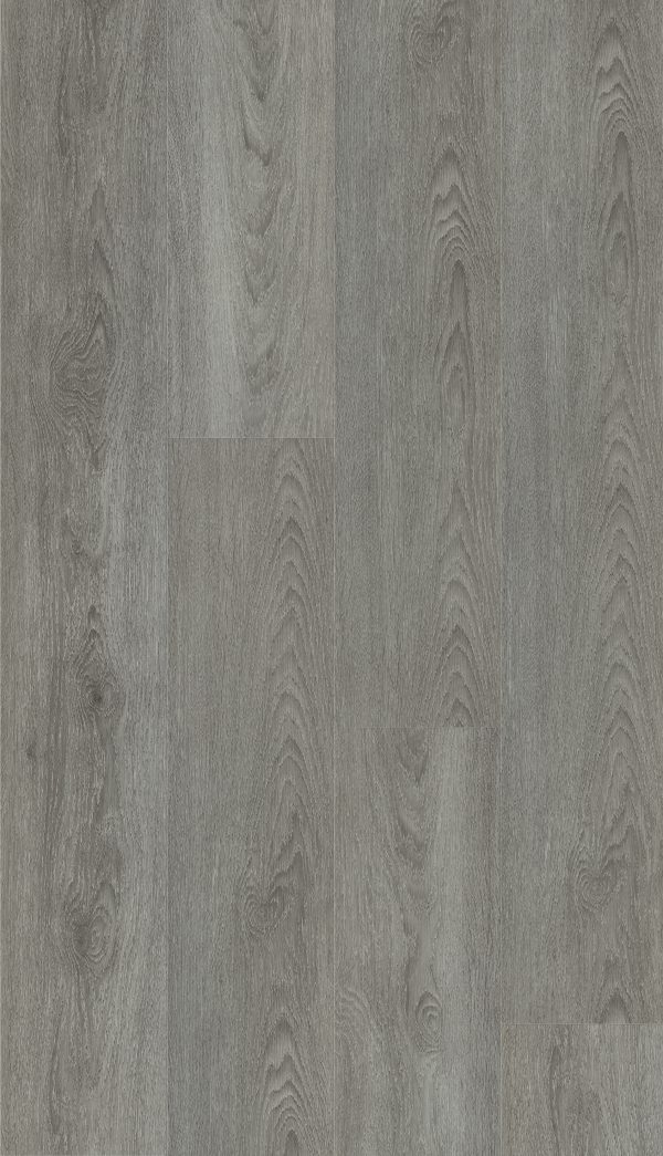 Brumby Range 5G Hybrid -704 Shark