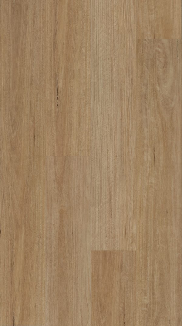Brumby Range 5G Hybrid -707 Blackbutt