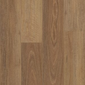 Brumby Range 5G Hybrid -708 NSW Spotted Gum