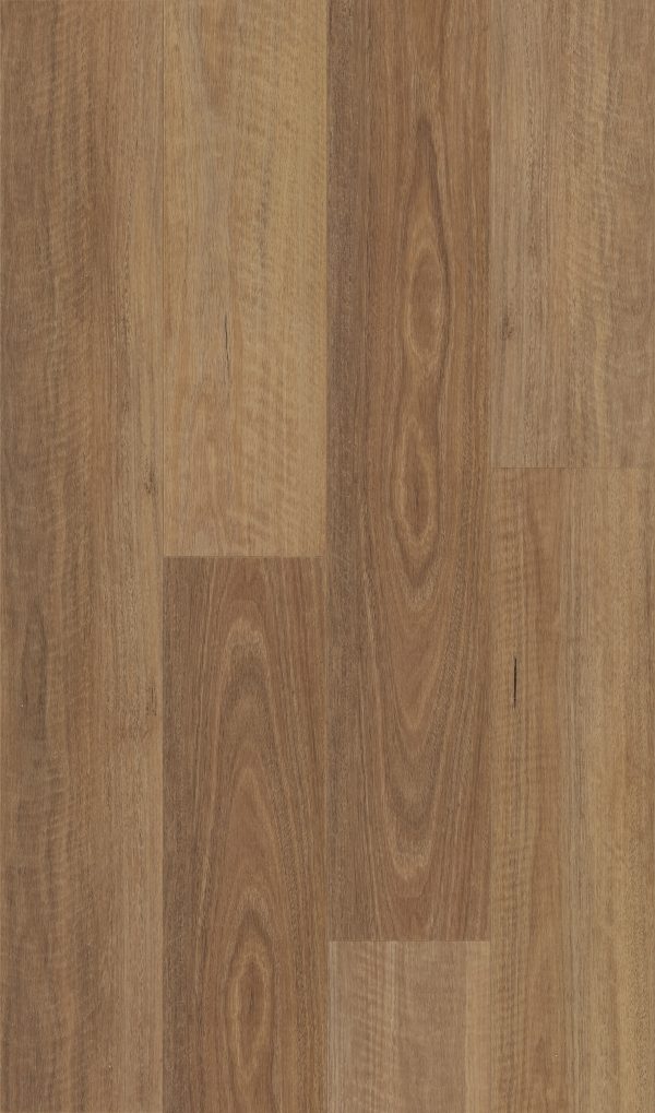 Brumby Range 5G Hybrid -708 NSW Spotted Gum