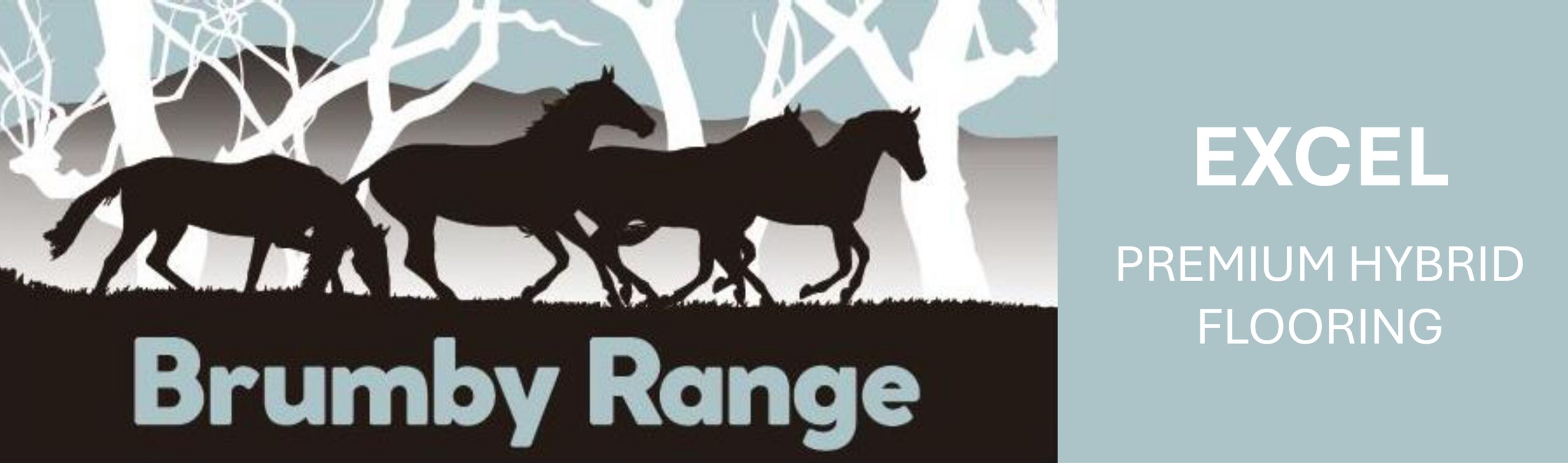 Brumby Excel_LOGO
