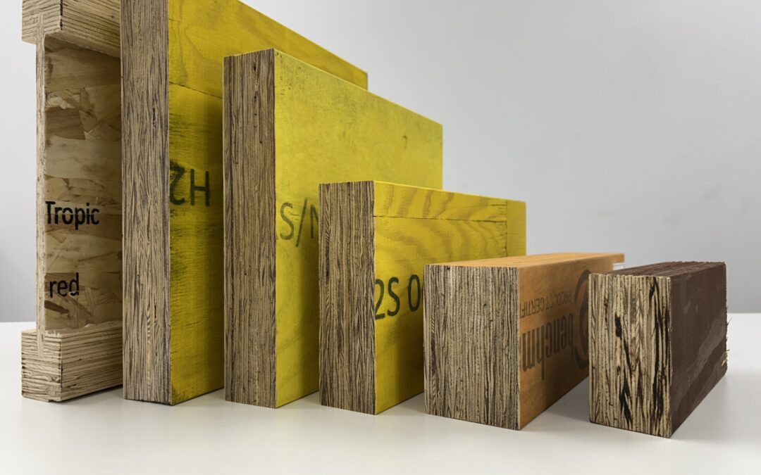 Understanding Structural Timber Options for Sydney Home Builds and Renovations