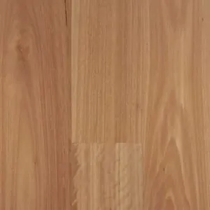 Envirolux Blackbutt
