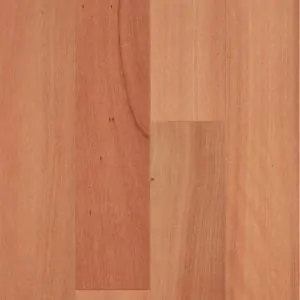 Envirolux Brushbox