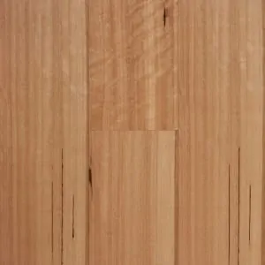 Stockmans Ridge Blackbutt