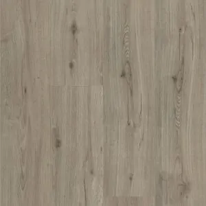 Brumby Range 5G Hybrid - 701 Cashmere