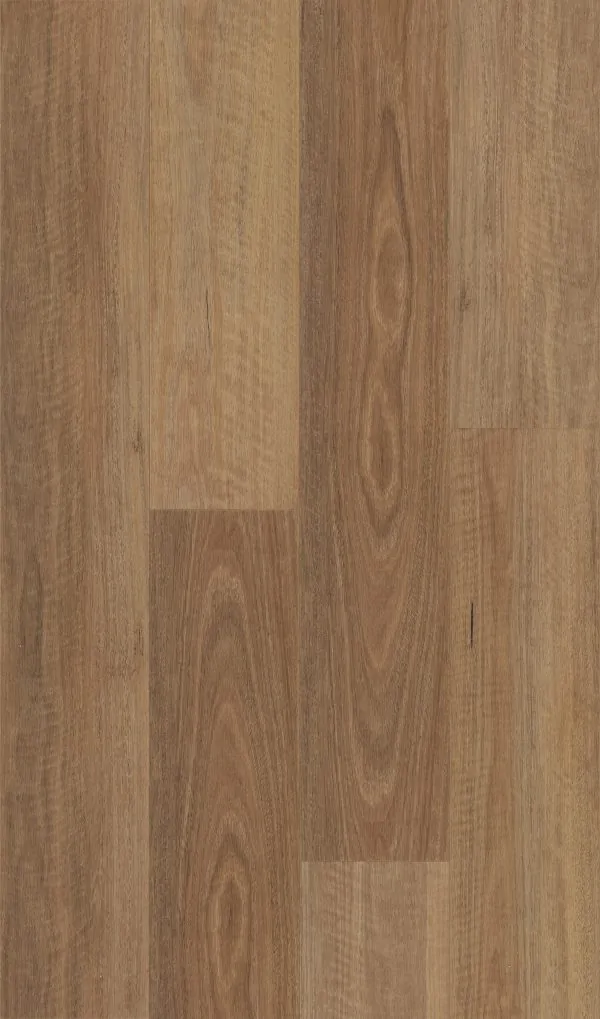 Brumby Range 5G Hybrid -708 NSW Spotted Gum